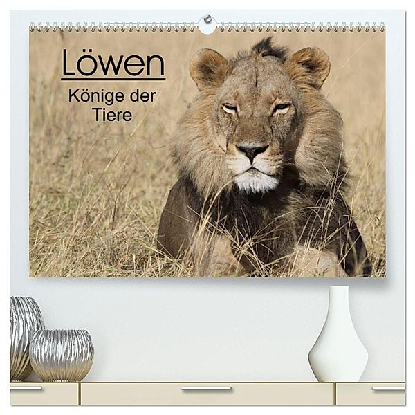 Löwen - Könige der Tiere (hochwertiger Premium Wandkalender 2024 DIN A2 quer), Kunstdruck in Hochglanz, Stefan Sander