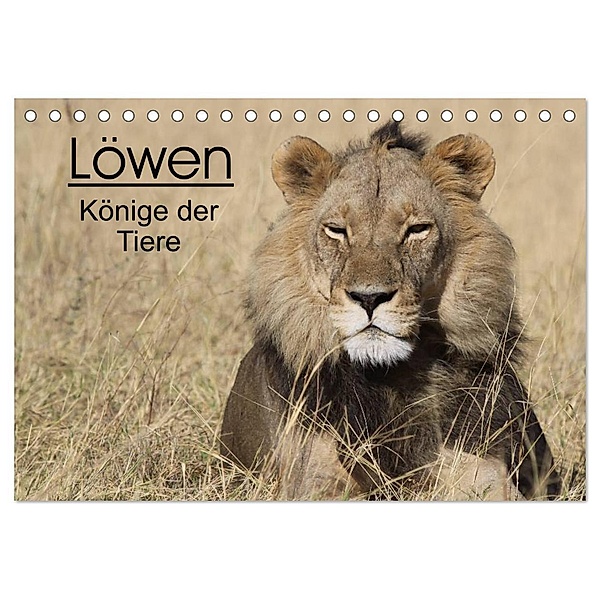 Löwen - Könige der Tiere (Tischkalender 2024 DIN A5 quer), CALVENDO Monatskalender, Stefan Sander