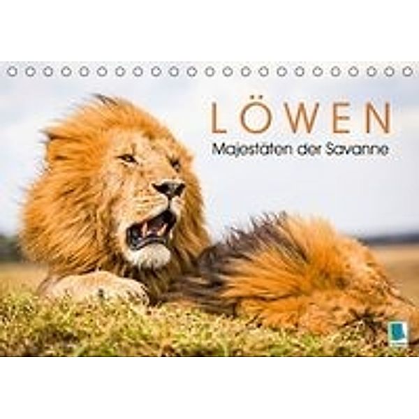 Löwen: Majestäten der Savanne (Tischkalender 2016 DIN A5 quer), Calvendo