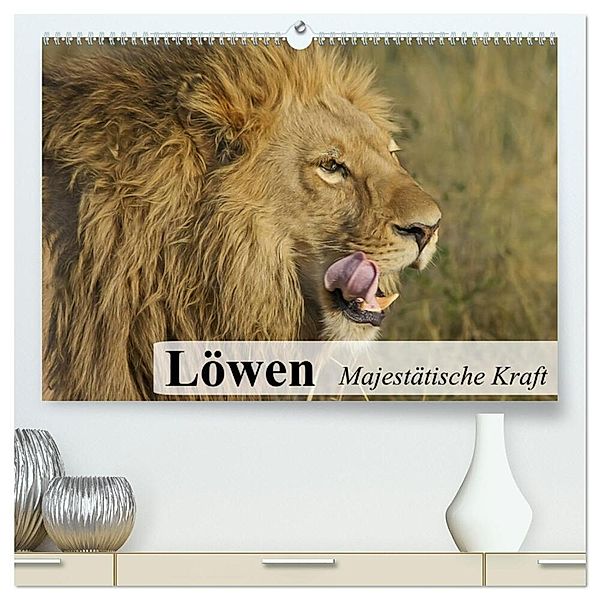 Löwen. Majestätische Kraft (hochwertiger Premium Wandkalender 2024 DIN A2 quer), Kunstdruck in Hochglanz, Elisabeth Stanzer