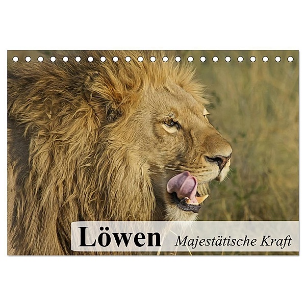 Löwen. Majestätische Kraft (Tischkalender 2024 DIN A5 quer), CALVENDO Monatskalender, Elisabeth Stanzer