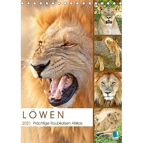 Löwen: prächtige Raubkatzen (Tischkalender 2021 DIN A5 hoch), Calvendo