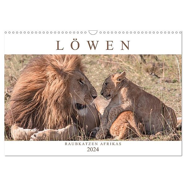 Löwen - Raubkatzen Afrikas (Wandkalender 2024 DIN A3 quer), CALVENDO Monatskalender, Andreas Lippmann