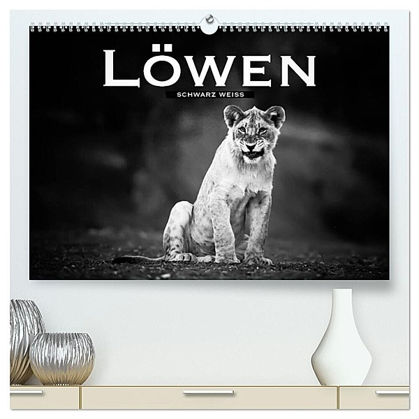 Löwen schwarz weiss (hochwertiger Premium Wandkalender 2024 DIN A2 quer), Kunstdruck in Hochglanz, Robert Styppa