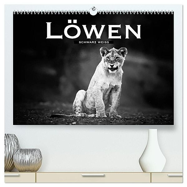 Löwen schwarz weiß (hochwertiger Premium Wandkalender 2025 DIN A2 quer), Kunstdruck in Hochglanz, Calvendo, Robert Styppa