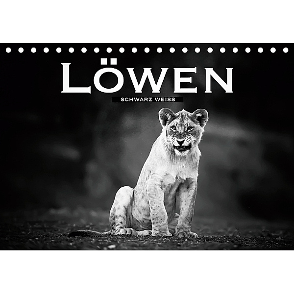 Löwen schwarz weiß (Tischkalender 2019 DIN A5 quer), Robert Styppa