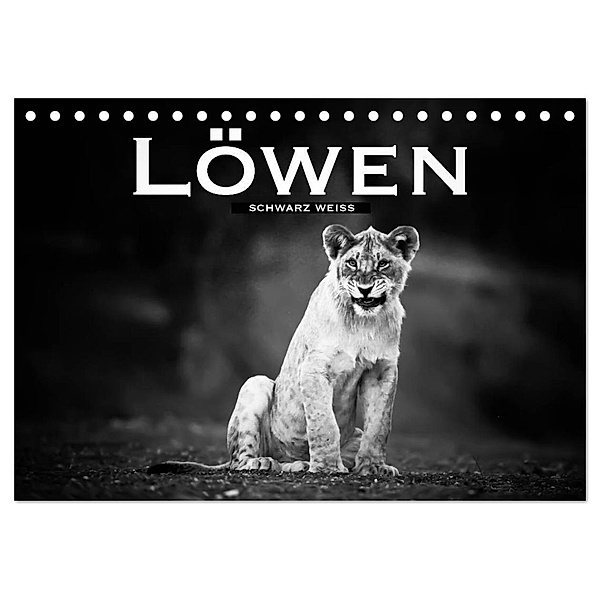 Löwen schwarz weiss (Tischkalender 2024 DIN A5 quer), CALVENDO Monatskalender, Robert Styppa