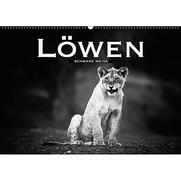 Löwen schwarz weiß (Wandkalender 2018 DIN A2 quer), ROBERT STYPPA