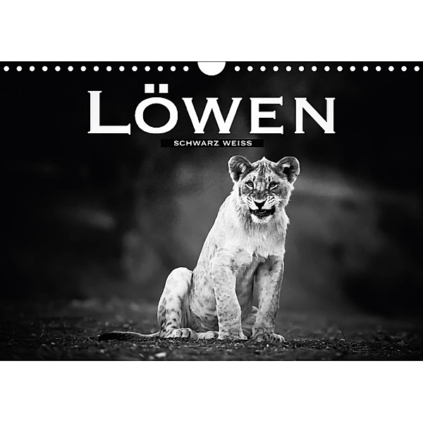 Löwen schwarz weiß (Wandkalender 2018 DIN A4 quer), ROBERT STYPPA