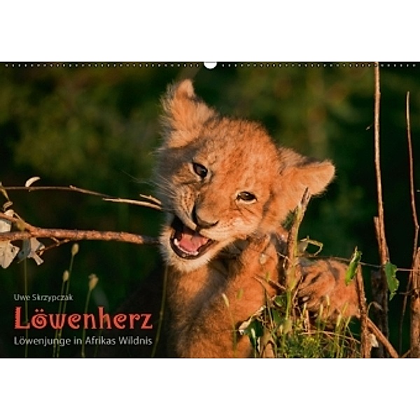 LÖWENHERZ Löwenjunge in Afrikas Wildnis (Wandkalender 2015 DIN A2 quer), Uwe Skrzypczak, Daniela Skrzypczak