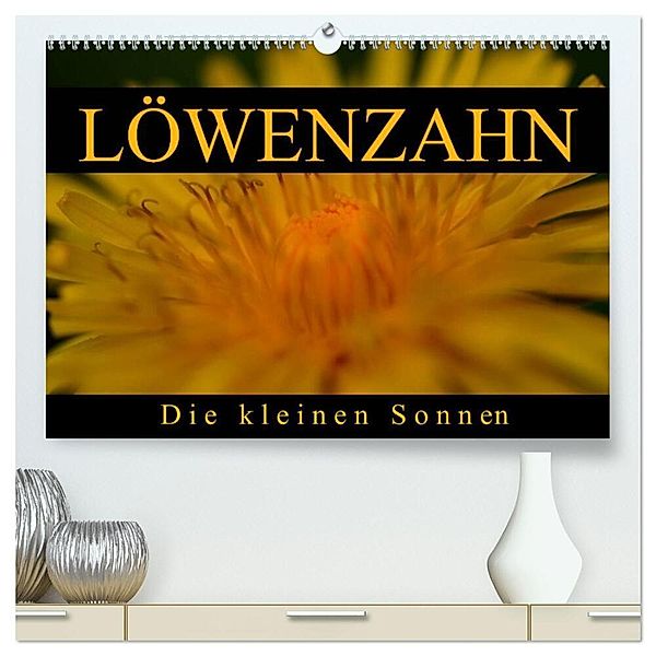 Löwenzahn - Die kleinen Sonnen (hochwertiger Premium Wandkalender 2024 DIN A2 quer), Kunstdruck in Hochglanz, Cathrin Kaden