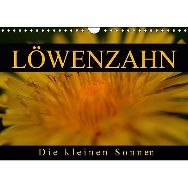 Löwenzahn - Die kleinen Sonnen (Wandkalender 2017 DIN A4 quer), Cathrin Kaden