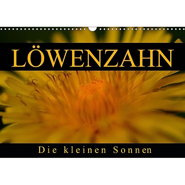 Löwenzahn - Die kleinen Sonnen (Wandkalender 2021 DIN A3 quer), Cathrin Kaden