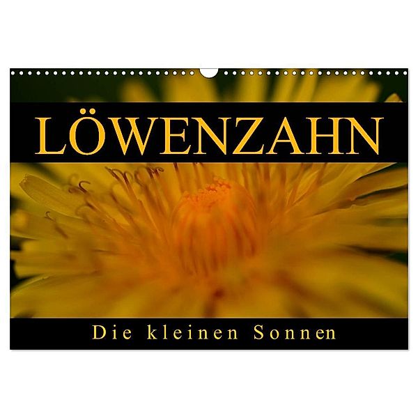 Löwenzahn - Die kleinen Sonnen (Wandkalender 2024 DIN A3 quer), CALVENDO Monatskalender, Cathrin Kaden