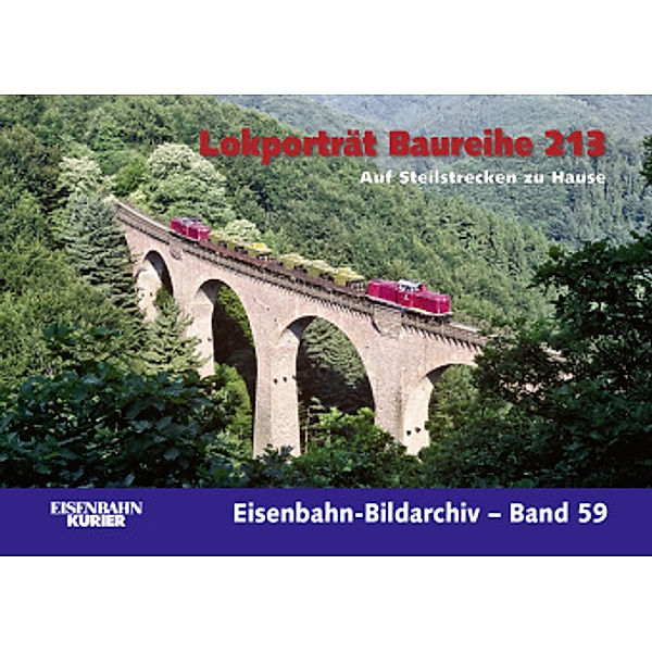 Lokporträt Baureihe 213