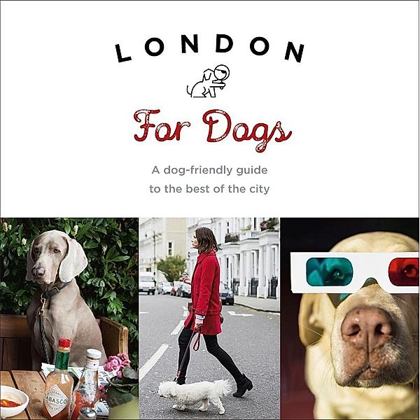 London For Dogs, Sarah Guy