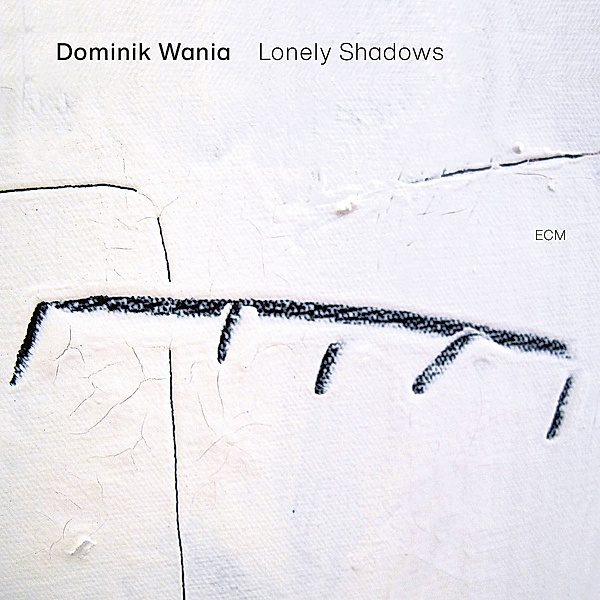 Lonely Shadows (Vinyl), Dominik Wania