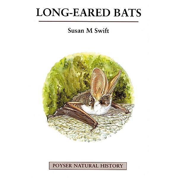 Long-eared Bats, Susan M. Swift
