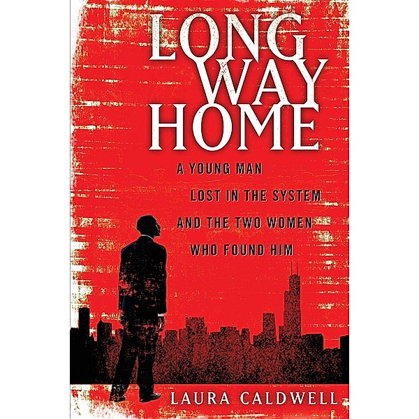 Long Way Home, Laura Caldwell