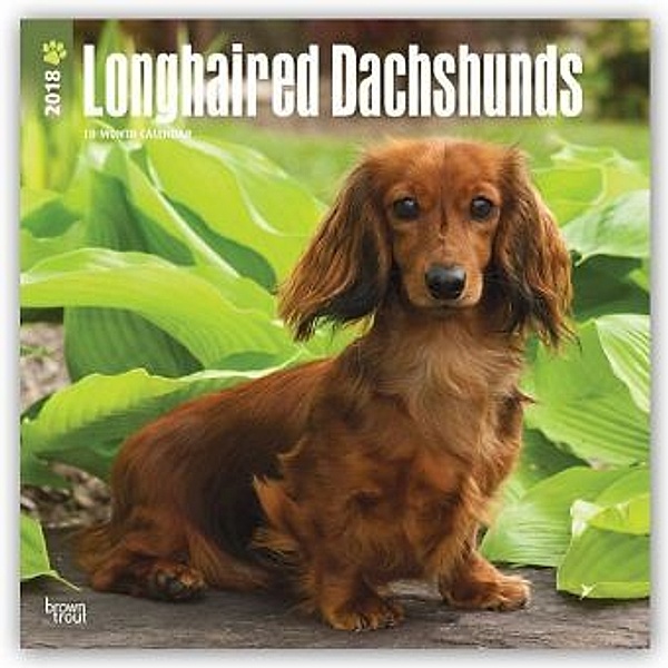 Longhaired Dachshunds 2018, BrownTrout Publisher
