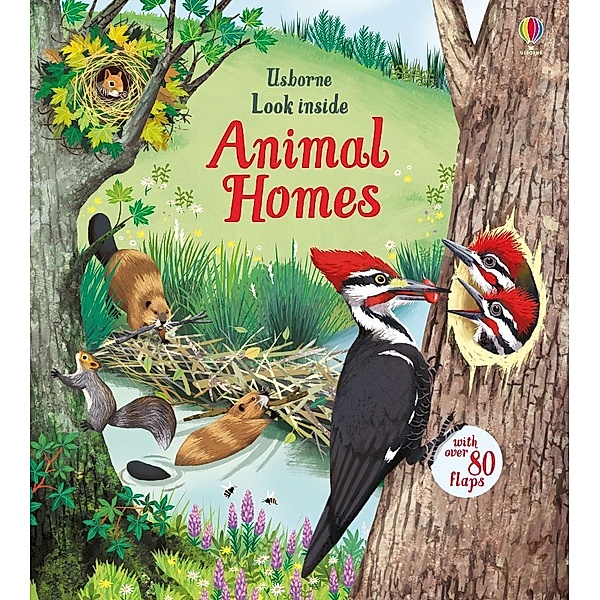 Look Inside Animal Homes, Emily Bone