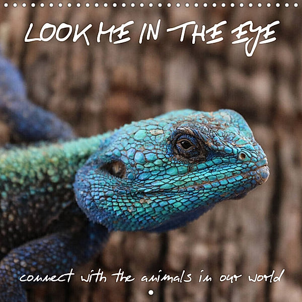 LOOK ME IN THE EYE connect with the animals in our world (Wall Calendar 2023 300 × 300 mm Square), Barbara Fraatz