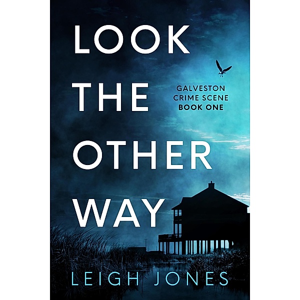 Look The Other Way (Galveston Crime Scene, #1) / Galveston Crime Scene, Leigh Jones