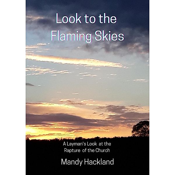 Look to the Flaming Skies (Choose Life!, #1) / Choose Life!, Mandy Hackland