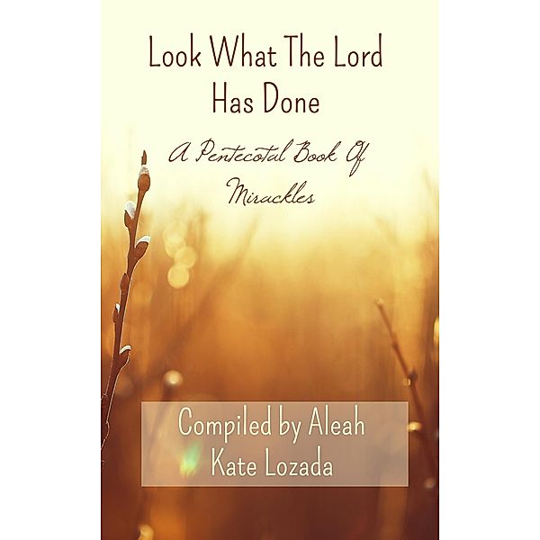 Look What The Lord Has Done: A Pentecostal Book Of Miracles, Aleah Kate Lozada