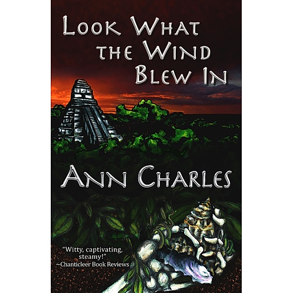 Look What the Wind Blew In ( A Dig Site Mystery - Book 1), Ann Charles