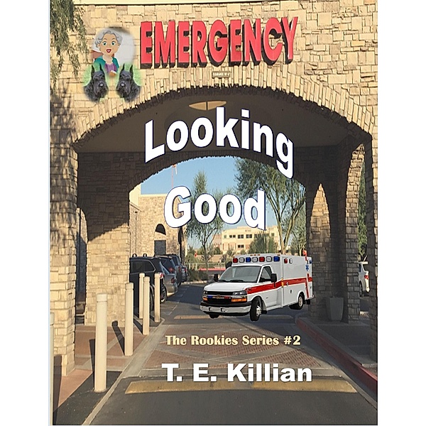 Lookin Good (Rookies Series, #2) / Rookies Series, T. E. Killian