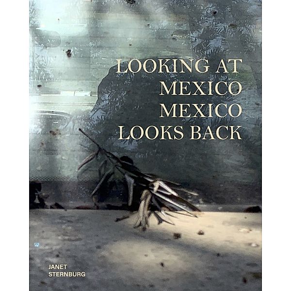 Looking at Mexico / Mexico Looks Back, Janet Sternburg