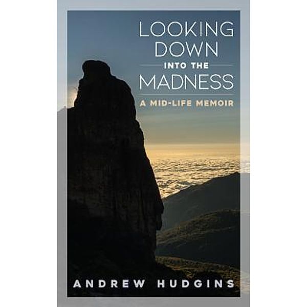 Looking Down Into the Madness / TOLFAN PUBLISHING LLC, Andrew Hudgins