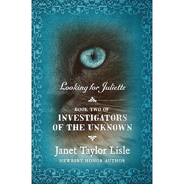 Looking for Juliette / Investigators of the Unknown, Janet Taylor Lisle