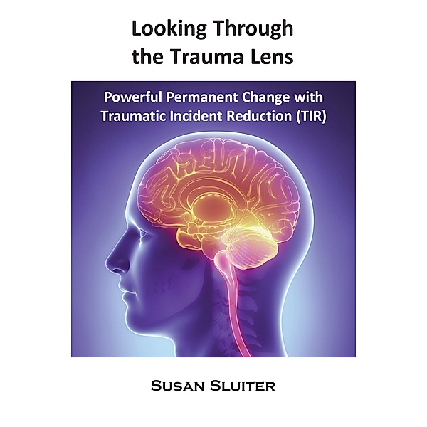 Looking Through the Trauma Lens / Metapsychology Monographs, Susan Sluiter