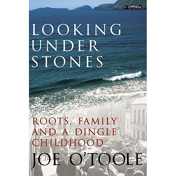 Looking Under Stones, Joe O'Toole