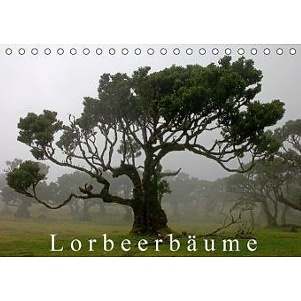 Lorbeerbäume (Tischkalender 2016 DIN A5 quer), Klaus Lielischkies