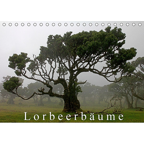 Lorbeerbäume (Tischkalender 2019 DIN A5 quer), Klaus Lielischkies
