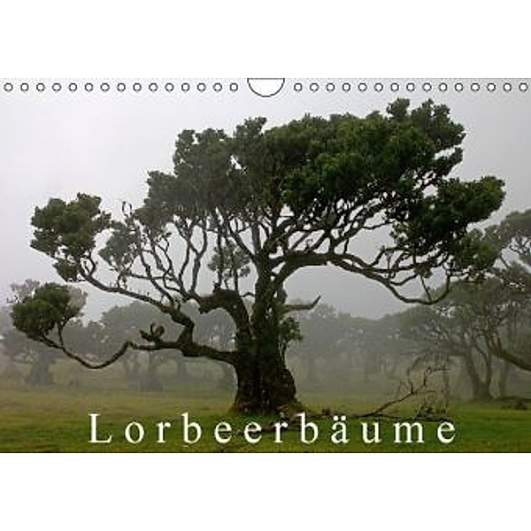 Lorbeerbäume (Wandkalender 2016 DIN A4 quer), Klaus Lielischkies