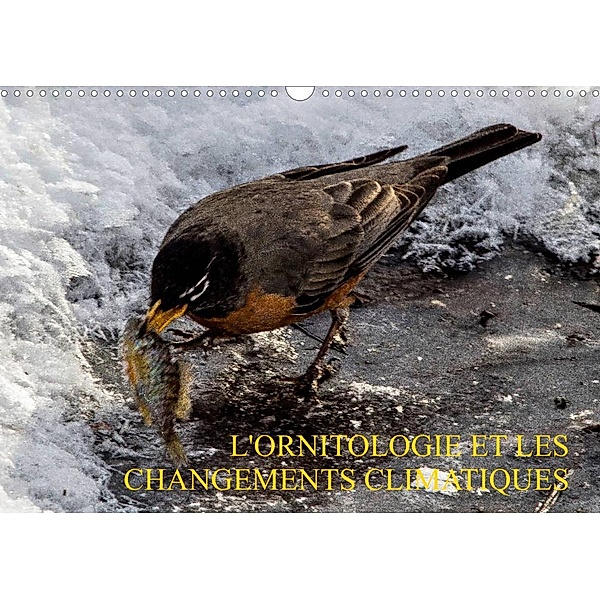 L'Ornitologie et les changements climatiques (Calendrier mural 2023 DIN A3 horizontal), Wido Hoville