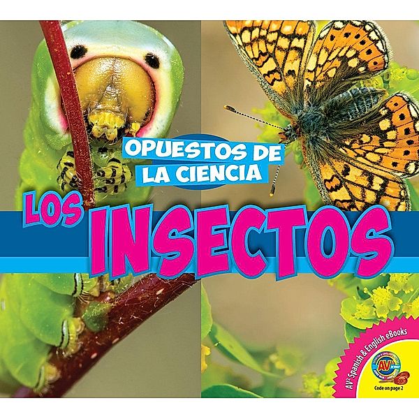 Los insectos, Pamela McDowell