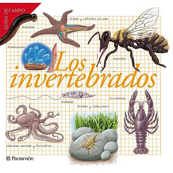 Los invertebrados / Guías de campo, Josep Maria Barres