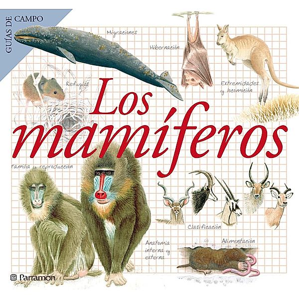 Los mamíferos / Guías de campo, Maria Àngels Julivert