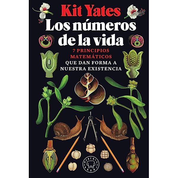 Los números de la vida, Kit Yates