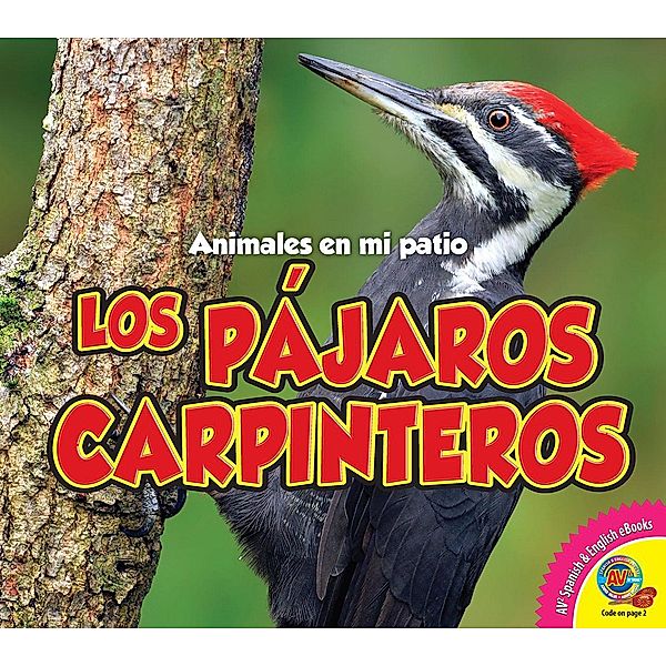 Los pájaros carpinteros, Aaron Carr