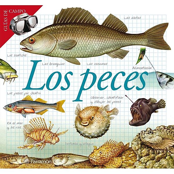 Los peces / Guías de campo, Maria Àngels Julivert