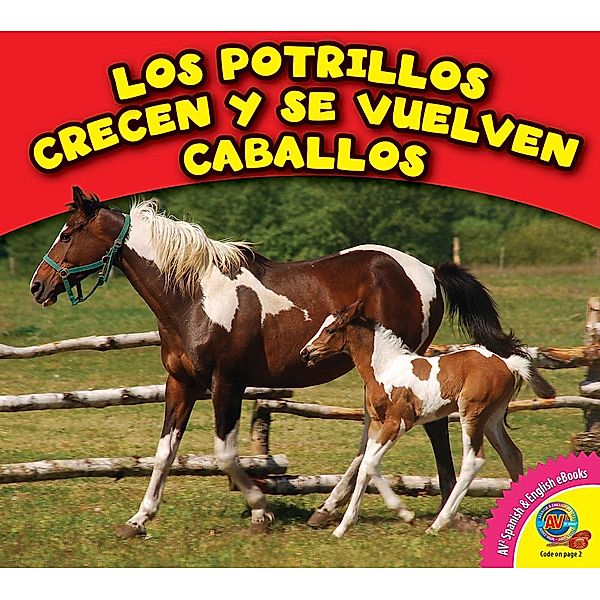 Los potrillos crecen y se vuelven caballos, Cecilia Minden