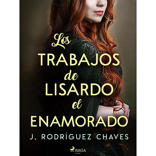 Los trabajos de Lisardo el enamorado, José Rodríguez Chaves