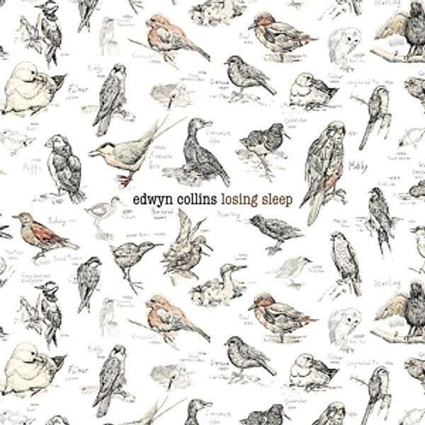 Losing Sleep, Edwyn Collins