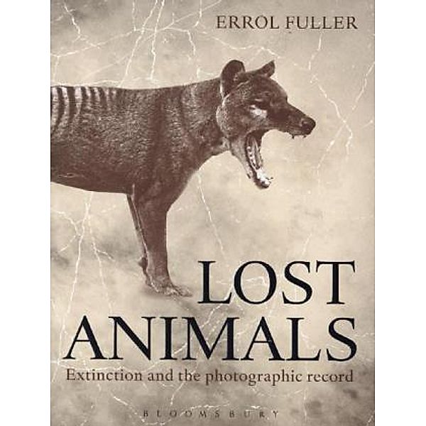 Lost Animals, Errol Fuller